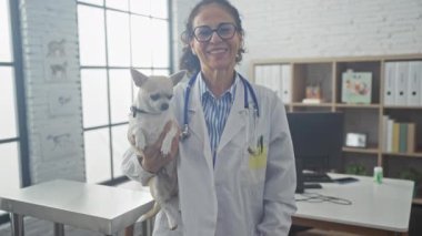 Klinikte elinde chihuahua tutan orta yaşlı gülümseyen bir veteriner kadın..