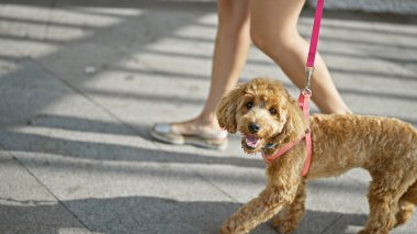 Sokakta köpek gezdiren beyaz bir kadın.