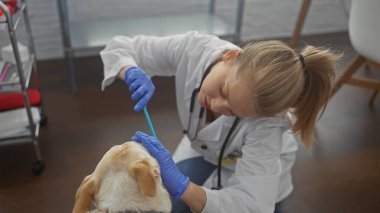 Genç bir kadın veteriner, veteriner kliniğinde bir köpeği muayene ediyor..