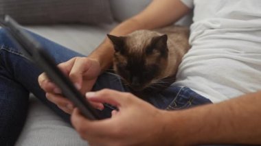 Bir adam evde dinleniyor, kanepede tablet kullanırken siyam kedisini okşuyor.