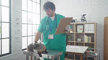 İspanyol veteriner, parlak bir veteriner kliniğinde siyam kedisini muayene ediyor.