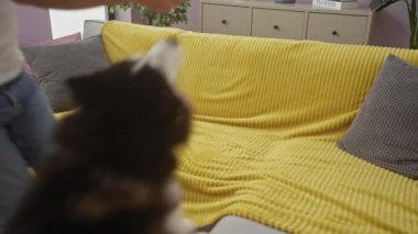 Genç bir adam, rahat bir apartman dairesinde iri yarı bir köpekle şakalaşıyor ve bir an için evcil hayvan arkadaşlığı tasvir ediyor..