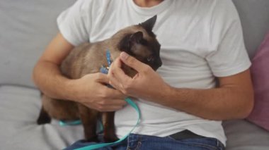 Genç bir adam, rahat bir oturma odasındaki kanepede bir siyam kedisini nazikçe okşuyor..