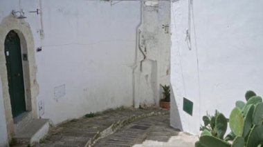 ostuni, puglia, italyan, vitrindeki beyazlatılmış duvarlar, kaldırım taşı patikası, yeşil kapı ve kaktüs bitkileri parlak güneş ışığı altında büyüleyici bir Avrupa ortamında.