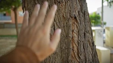 Bir adamın eli, doğayla olan bağlantıyı sembolize eden, sakin bir ortamda, bir ağacın kabuğuna nazikçe dokunur..
