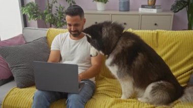 Gülümseyen İspanyol bir adam laptopta çalışırken özenli husky 'si rahat bir oturma odasında canlı sarı bir kanepede oturuyor..