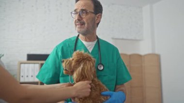 Orta yaşlı veteriner klinik odasında evcil bir kanişi inceliyor, evde bakım ve profesyonellik tasvir ediyor..