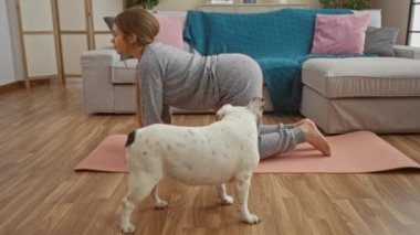 Oturma odasındaki paspasın üzerinde yoga yapan genç bir kadın. Yakınlardaki ahşap zeminde duran beyaz bir bulldog..