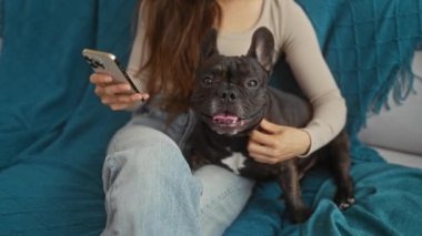 Bir kadın akıllı telefonunu kullanırken kucağında bir buldogla oturma odasında oturuyor..