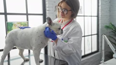 Sarı saçlı ve gözlüklü genç bir veteriner modern bir veteriner kliniğinde küçük beyaz bir köpeği muayene ediyor..