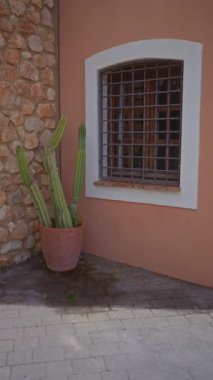 Taş duvar binasının dışında kaktüs saksısı var. Parmaklıklı pencere, tuhaf mimariyi yansıtıyor..