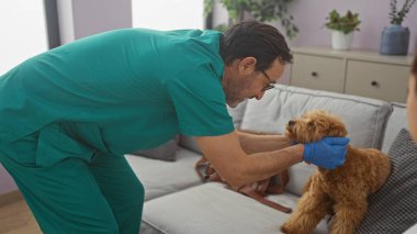 A middle-aged man in scrubs gently examines a poodle on a sofa in a cozy living room setting. clipart