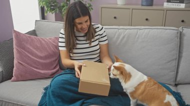 Gülümseyen bir kadın evdeki koltukta oturuyor, özenli Chihuahua 'sıyla birlikte bir kutuyu açıyor..