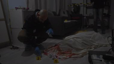 Dedektif, olay yerindeki kanıtları kan, sabıka kaydı ve arka plandaki kadınla inceliyor..