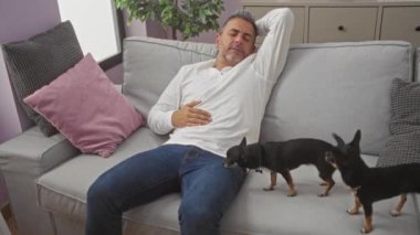 Orta yaşlı bir adam oturma odasındaki rahat bir kanepede dinleniyor. Yanında da iki tane neşeli chihuahua var..