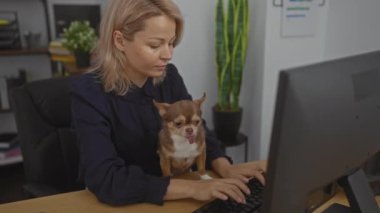 Masada Chihuahua köpeğiyle çalışan sarışın bir kadın..