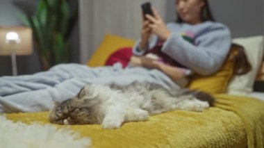 Genç Asyalı bir kadın rahat bir yatak odasında rahat bir şekilde telefonuna odaklanırken tüylü kedisi sarı bir battaniyenin üzerinde huzur içinde uyuyor..