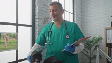 Yeşil önlüklü ve eldivenli orta yaşlı bir veteriner modern bir veteriner kliniğinde iki chihuahuayı muayene ediyor..