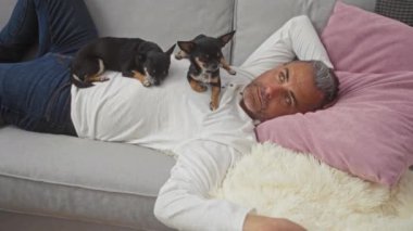 Orta yaşlı İspanyol bir adam oturma odasındaki kanepede uzanmış göğsünde iki chihuahua ile dinleniyor..