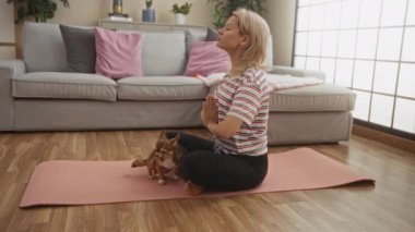 Genç, sarışın bir kadın pembe bir paspasın üzerinde yoga yapıyor. Hoş bir Chihuahua ile oturma odasında oturuyor..