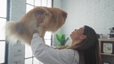 Genç bir kadın veteriner pomeranian köpeğini parlak bir klinikte muayene ediyor.