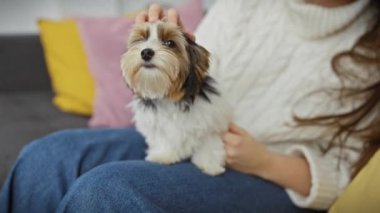 Genç bir kadın Yorkshire Teriyeri 'ni kucağında sıcacık bir oturma odasında okşuyor..