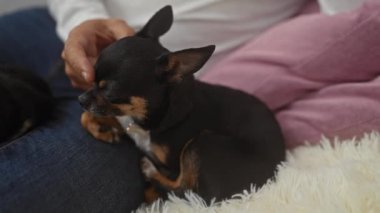 Bir adam sıcak, sade bir atmosfer yaratarak sıcak bir oturma odasında köpeğini okşuyor..