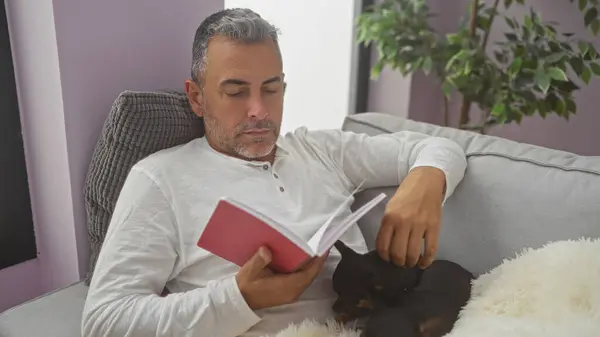 Stock image Middle-aged hispanic man reading a book while petting a chihuahua in a cozy living room with indoor plants and comfortable seating.