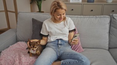 Chihuahua evcil hayvanı olan genç sarışın bir kadın evdeki akıllı telefonu kullanarak oturma odasındaki kanepede dinleniyor..