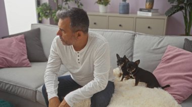 Orta yaşlı, ispanyol bir adam rahat bir oturma odasında, rahat bir kanepede iki chihuahua ile oturuyor, yastıklar ve kapalı bitkilerle çevrili..