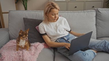 Oturma odasında dizüstü bilgisayarında çalışan genç sarışın bir kadın. Yanında sıcak bir kanepede Chihuahua köpeği oturuyor..