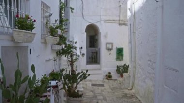 Ottuni, Puglia, İtalya 'daki dar taş patika, beyazlatılmış binalar, canlı saksılar, yeşillikler ve kaktüsler resim gibi ve huzurlu bir Akdeniz sokak manzarası yaratıyor..