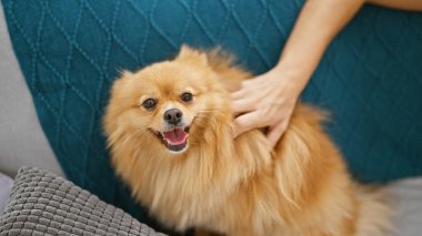 Güzel bir kadın, evdeki kanepede evcil köpeğiyle birlikte oturuyor. Kapalı alanda çekilmiş bir portre. Ellerinin dokunaklı anını yakalıyor..