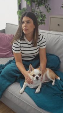 Çizgili gömlekli genç bir İspanyol kadın evdeki kanepede oturur, oturma odasında Chihuahua köpeğini sevgiyle okşar, rahat ve rahat bir ortam yaratır..