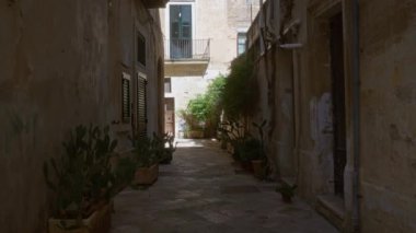 Lekeli, italyan, puglia bölgesinde dar bir sokak, eski taş binalar, saksı kaktüsleri, açık pencereler ve parlak gün ışığı altında canlı yeşillikler.