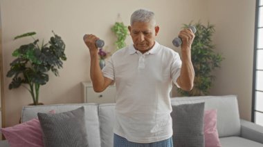 A grey-haired hispanic middle-aged man exercises with dumbbells indoors in his living room. clipart