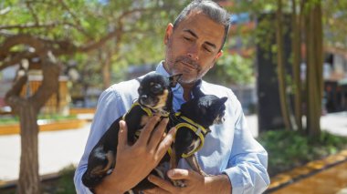 Orta yaşlı İspanyol bir adam güneşli bir günde şehir parkında iki chihuahua tutuyor ve evcil hayvanlarıyla dışarıda eğleniyor..