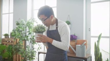 Önlüklü genç Asyalı çiçek dükkanındaki parlak pencere zeminli saksı kokusunu alıyor..