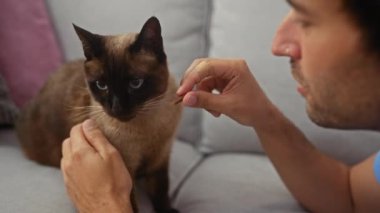Genç bir adam sıcak bir oturma odasındaki kanepede siyam kedisiyle sevgi dolu bir şekilde etkileşime girer..