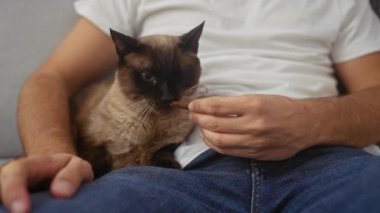 Bir adam siyam kedisine evde iyi davranır, özen gösterir, bağ kurar ve sıcak bir ev ortamı yaratır..