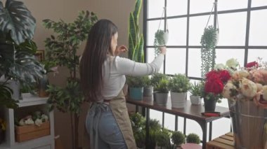 Çiçekçide müşterisiyle birlikte gülümseyen bir kadın. Kapalı bir çiçekçide, yeşilliğin tadını çıkarıyor ve etkileşime geçiyor..