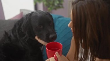 Kahverengi saçlı genç bir kadın siyah bir labrador 'u sıcak bir oturma odasında elinde kırmızı bir kupayla besliyor..