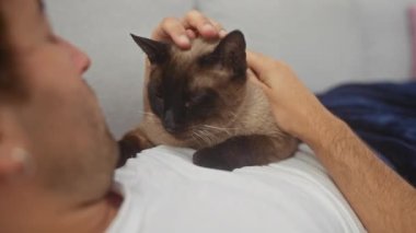 Bir adam evde dinlenirken bir siyam kedisini okşar. Bir anlığına evcil bir bağ ve bakım tasvir eder..