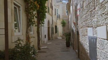 Taş binalar, yeşil bitkiler ve Akdeniz mimarisi ile büyüleyici dar bir sokak. Ders, puglia, aydınlık gün ışığında İtalya..