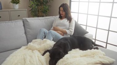 Genç bir İspanyol kadın, oturma odasında, uyuyan bir labrador 'un yanındaki koltukta oturuyor, karnını tutuyor, sıcak battaniyeler ve kapalı bitkilerle çevrili..