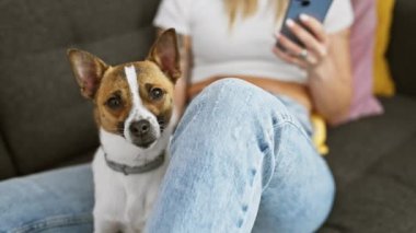 Gündelik giyinmiş genç bir kadın dikkatli küçük köpeği ve akıllı telefonuyla evde dinleniyor..
