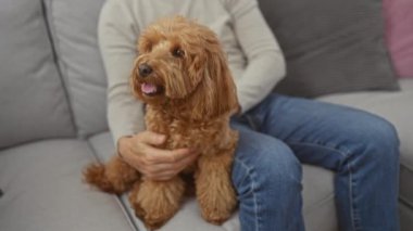 Orta yaşlı bir adam evdeki arkadaşlığı ve rahatlığı ön plana çıkaran kanepede mutlu bir kaniş köpeği besliyor..