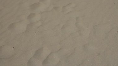 Pescoluse, Salento, Puglia, İtalya 'daki kumlu plaj şekillerinin yakından görüntüsü parlak güneş ışığı altında kumun pürüzsüz dokusunu ve doğal oluşumlarını yakalıyor..