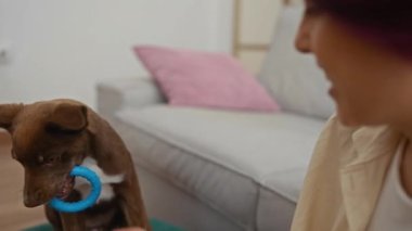 Sıcak bir oturma odasında köpeğiyle oynayan genç bir kadın, evcil hayvan ve sahibi arasındaki neşeli ve neşeli anın altını çiziyor..