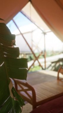 Bir çadır ve önplanda büyük yeşil bir yaprak ile Afrika 'da kamp kurarak huzurlu ve maceraperest bir atmosferi yakalıyorlar..